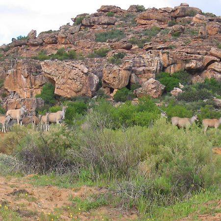 Traveller'S Rest Villa Clanwilliam Exterior foto
